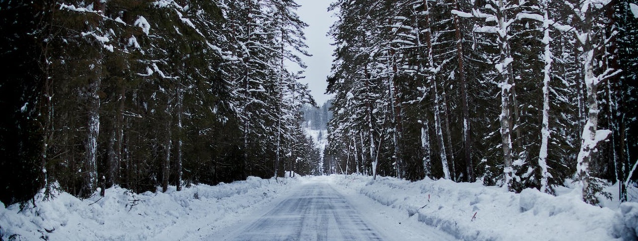 verschneite Waldstraße