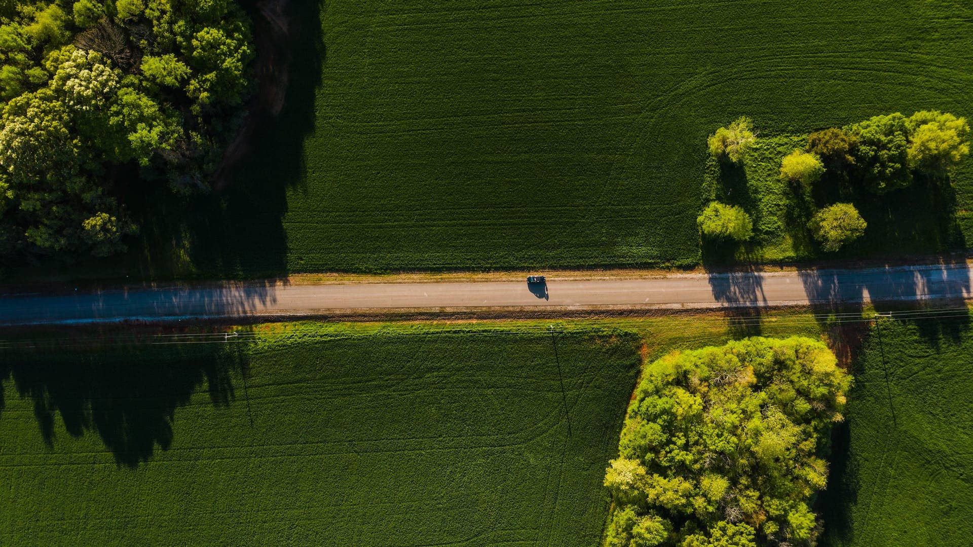 Auto auf Sommerstraße